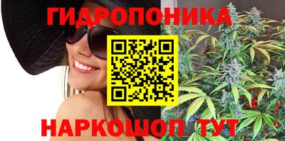 прущие грибы Гусь-Хрустальный
