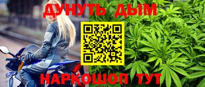 прущие грибы Гусь-Хрустальный