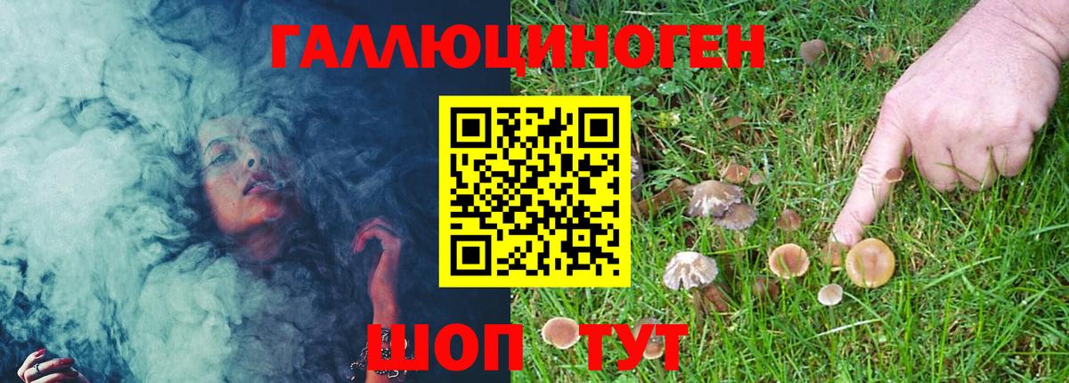 Галлюциногенные грибы Cubensis Губкин