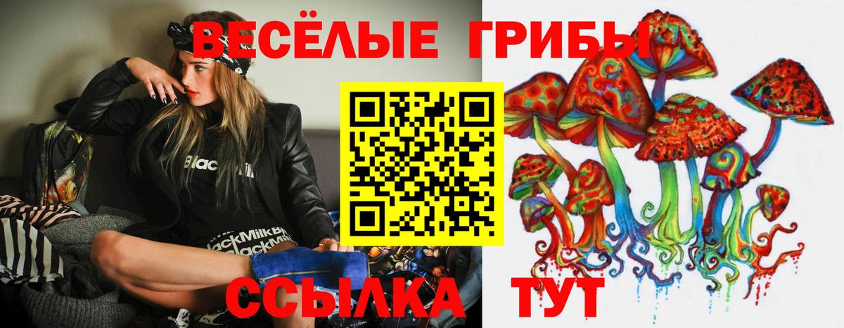 Галлюциногенные грибы прущие грибы  хочу наркоту  Губкин  Вход с VPN 